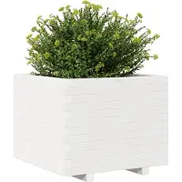 vidaXL Jardinière blanc 60x60x49,5 cm bois de pin massif