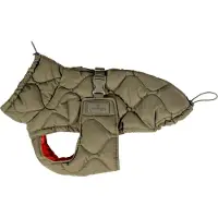 Kentucky Dogwear Manteau pour chien Hiver Pina 160g Manteau pour chien Vert pin M