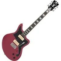 D'angelico Premier Bedford Oxblood