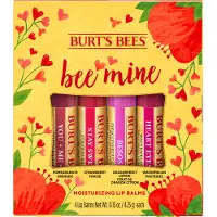 Burt's Bees Bee Mine baume à lèvres à la cire d'abeille saveur Pomegranate, Strawberry, Dragonfruit Lemon, Watermelon 4x4.25 g