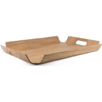 Bredemeijer Bg00003 Melamine Tray 40x55x5 Cm Doré