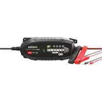 Markenlos ABSINA 6V 12V 12,8V Chargeur plomb/LiFePO4 8 étapes 3,8A