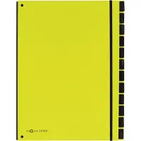 Pagna Trieur Trend , pour format A4, carton, 12 compartiments, vert tilleul