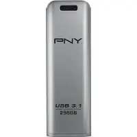 PNY Elite Steel 3.1 256 Go