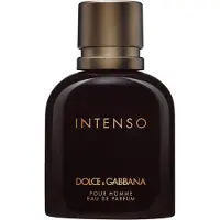 Dolce&Gabbana Pour Homme Intenso Eau de Parfum pour homme 75 ml