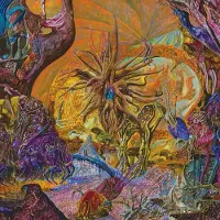 Bertus Distributie Slimelord - Chytridiomycosis Relinquished - Orange/Royal Blue [Vinyl Lp] Blue, Colored Vinyl, Orange