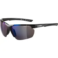 Alpina sport Sunglasses Defey HR Black