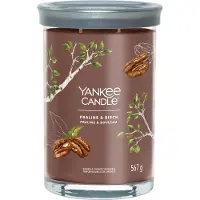 Yankee candle Bougie parfumée Praline & Birch Signature Large Tumbler
