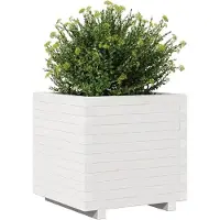 vidaXL Jardinière blanc 50x50x49,5 cm bois de pin massif
