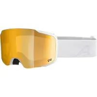Alpina Masque de ski