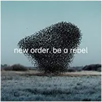 Import Be A Rebel Edition Collector Limitée Vinyle Vert