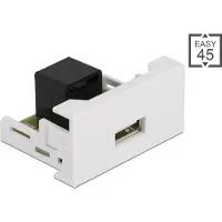 DeLOCK Module Easy 45 USB 2.0 type A vers RJ45, 22,5 x 45 mm, blanc