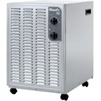 Wood's Déshumidificateur woodsdéshu-SW42FM 600 W Gris