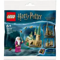 LEGO , 30435 Harry Potter Le château de Poudlard, Multicolore