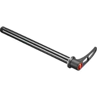 Dt Swiss Rws 10 Fb Asm Through Axle Argenté 15 x 150 mm