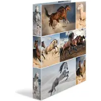 Herma Classeur à anneaux A4 Motif (A4, 35 mm, 1 pcs)