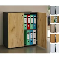 Hioshop Armoire de bureau Livres Dossiers Meuble de bureau Armoire Lona 2 portes battantes Armoire de bureau Livres Dossiers Meuble de bureau Armoire Lona 2 portes battantes