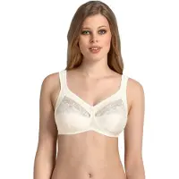 Anita Safina Soutien-Gorge Minimiseur Avec Armature - 44