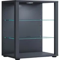 VCM Bois verre vitrine de collection vitrine de verre vitrine stand vitrine Glasol L Bois verre vitrine de collection vitrine de verre vitrine stand vitrine Glasol L
