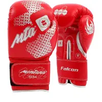Montana Gants de boxe 'falcon'
