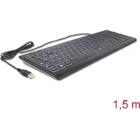 DeLOCK USB Tastatur kabelgebunden 1,5 m schwarz mit XXL Bstb