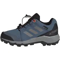 Adidas Chaussures basses 'GORE-TEX Hiking' marine / pierre / noir