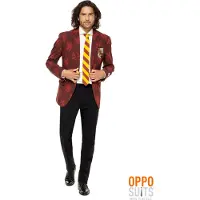 Oppo Merchandise Group B.V. Costume 'Harry Potter'