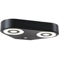 Paulmann LED Applique murale d'extérieur Silma Détecteur de mouvement àcrépusculaire (IR) Double sortie de lumière
