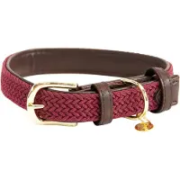 Kentucky Collier De Chien Nylon Plaited