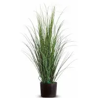 Meet by Paperflow Plante de bureau Gras - PVC - H 800 mm