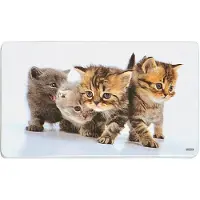 Kesper 5x Brettchen 'Katze', Planche à découper, Multicolore