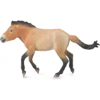 Collecta Étalon de Przewalski - (XL)