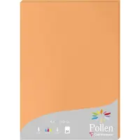 Pollen Clairefontaine Pollen - Papier teinté - orange - A4 (210 x 297 mm) - 210 g/m² - 25 feuille(s)