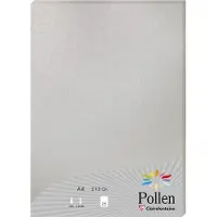 Pollen Clairefontaine Pollen - Argent - A4 (210 x 297 mm) - 210 g/m² - 25 feuille(s) papier coloré