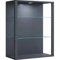 VCM bois verre vitrine murale vitrine suspendue vitrine de collection vitrine vitrine sur pied vitrine Glasol LW