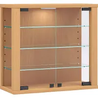 VCM Vitrine murale suspendue vitrine en verre vitrine murale vitrine en verre Vitrosa S Vitrine murale suspendue vitrine en verre vitrine murale vitrine en verre Vitrosa S