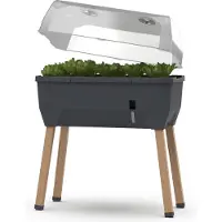 Gusta Garden Sammy Salad