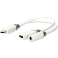 Ginza.se Adaptateur Usb-c Ccbw64922wt01 Usb 2.0 Usb-c M-usb-c F/f Plaqué Or 3.5mm 0.1 M