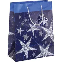 Sigel 5 Pochettes cadeau Shining Star motif 26,0 x 33,0 cm