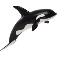 MOJO Orca Deluxe