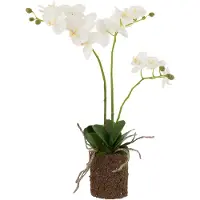 J-Line Orchidee en terre plastique blanc/vert medium