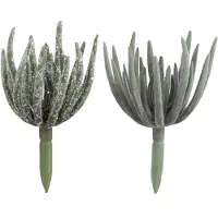 J-Line Plante grasse echeveria plastique vert medium assortiment de 2