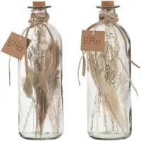 J-Line Bouteilles fleurs sechees verre naturel large assortiment de 2