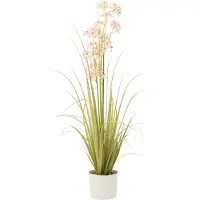 J-Line Allium en pot plastique vert/rose clair medium