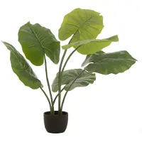 J-Line Taro sauvage en pot plastique vert small