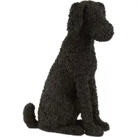 J-Line Chien Max Assis Poly Noir