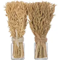 J-Line Bouquet herbes avana dans vase naturel assortiment de 2