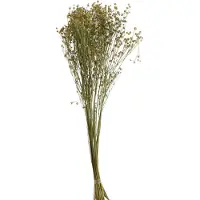 J-Line Botte fleurs de lin sechees lin jaune