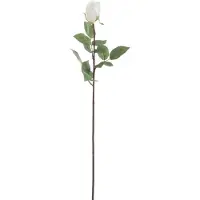 J-Line Rose fermee fresh touch plastique blanc