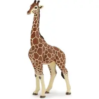 Papo Wild Life Girafe mâle 50149